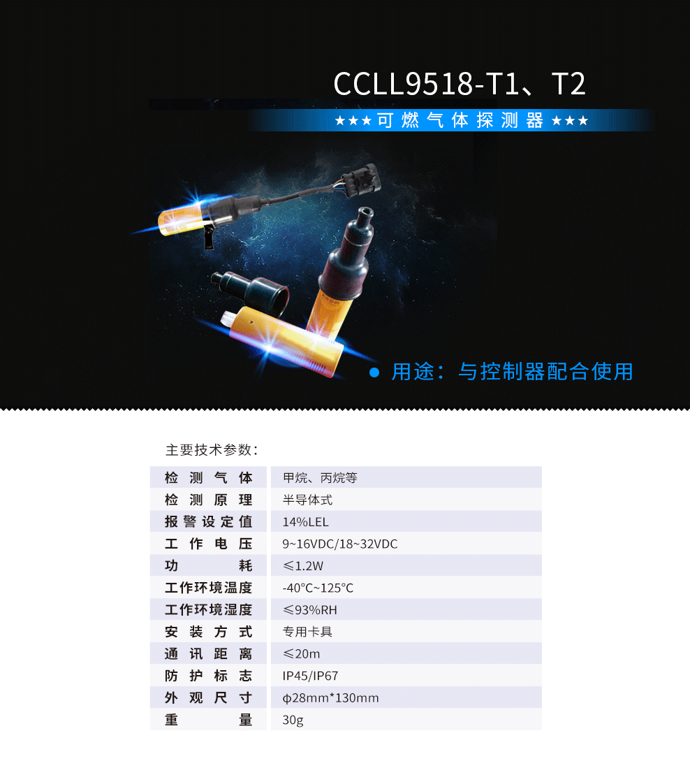 可燃气体检测仪CCLL9518-T1T2.png